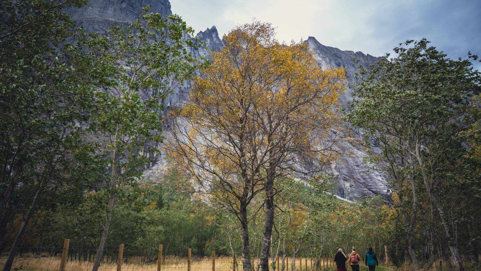 Der Eiafossen-Naturpfad