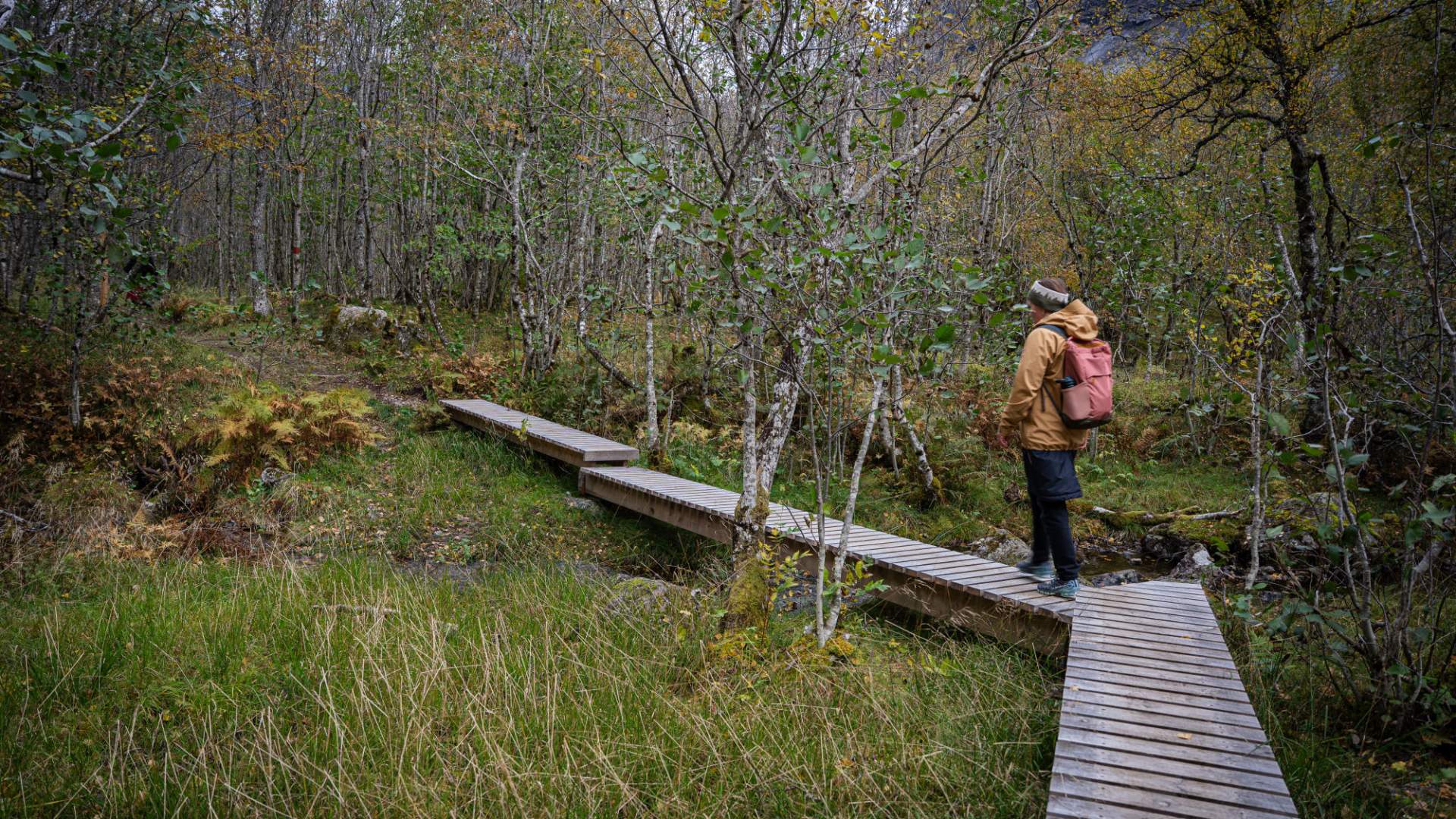 Der Eiafossen-Naturpfad