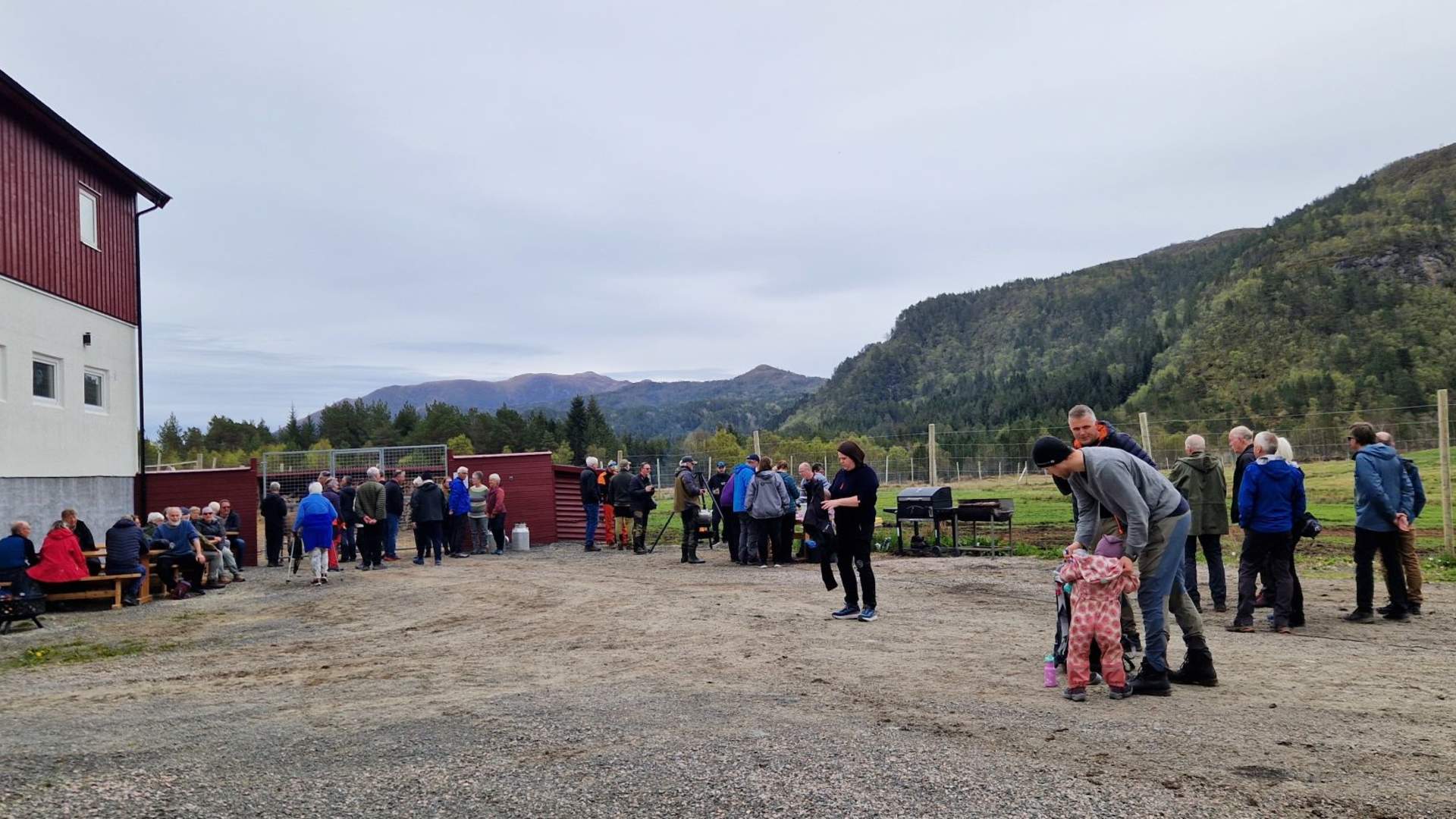 Hjortesafari på Martnadssletta