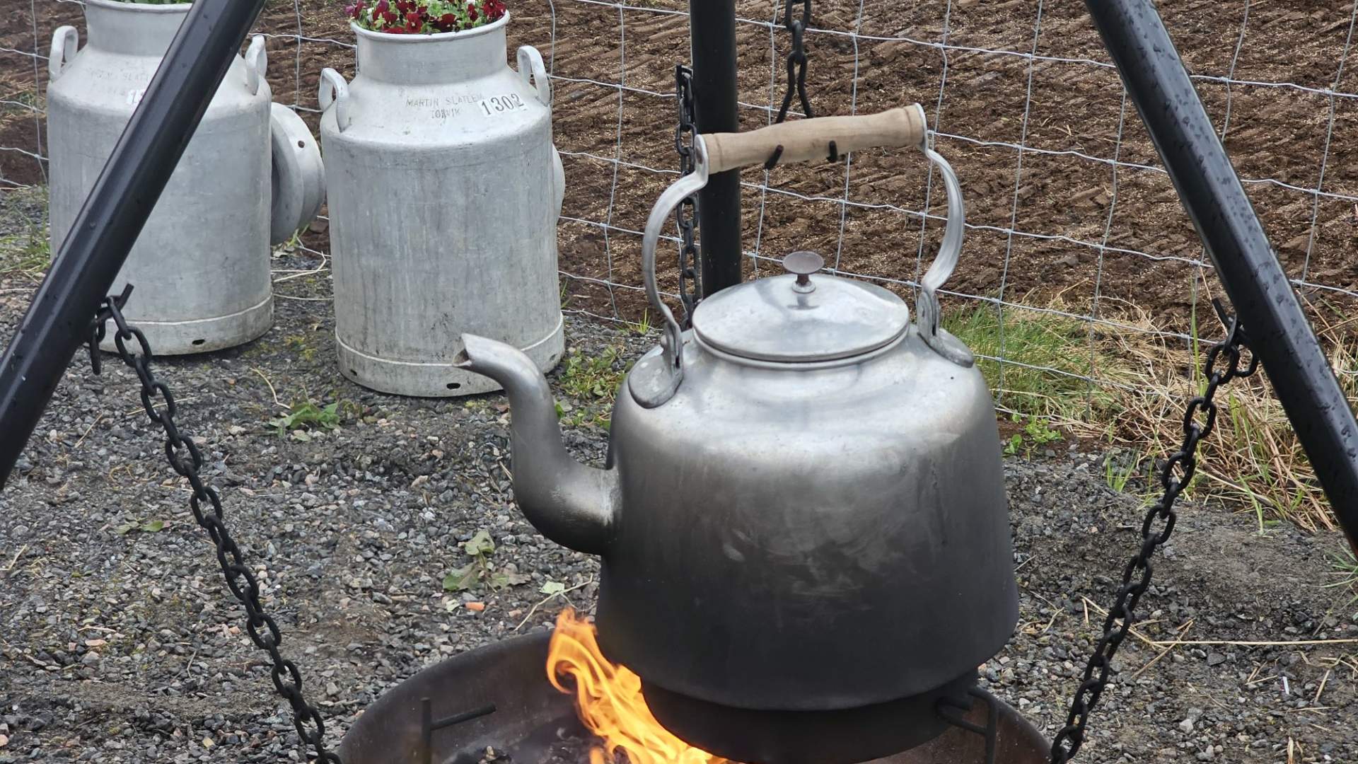 Hjortesafari på Martnadssletta