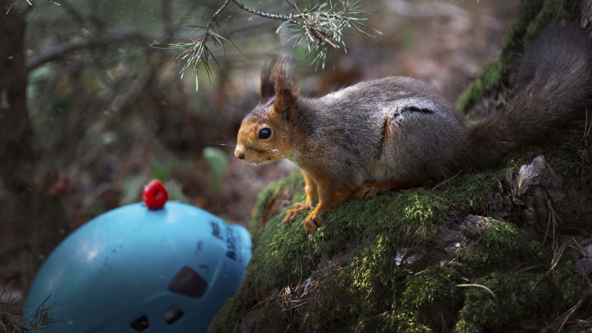Høyt & Lavt Trondheim