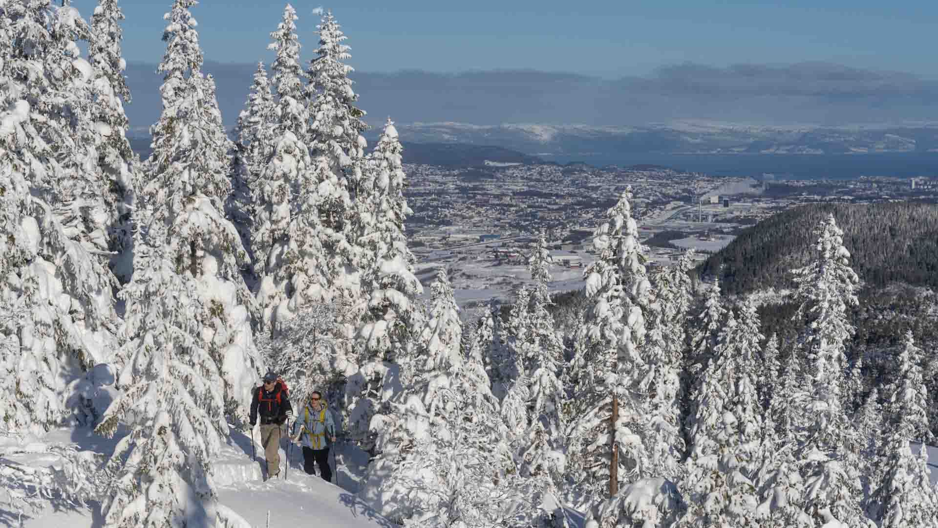 Vassfjellet Winter Park