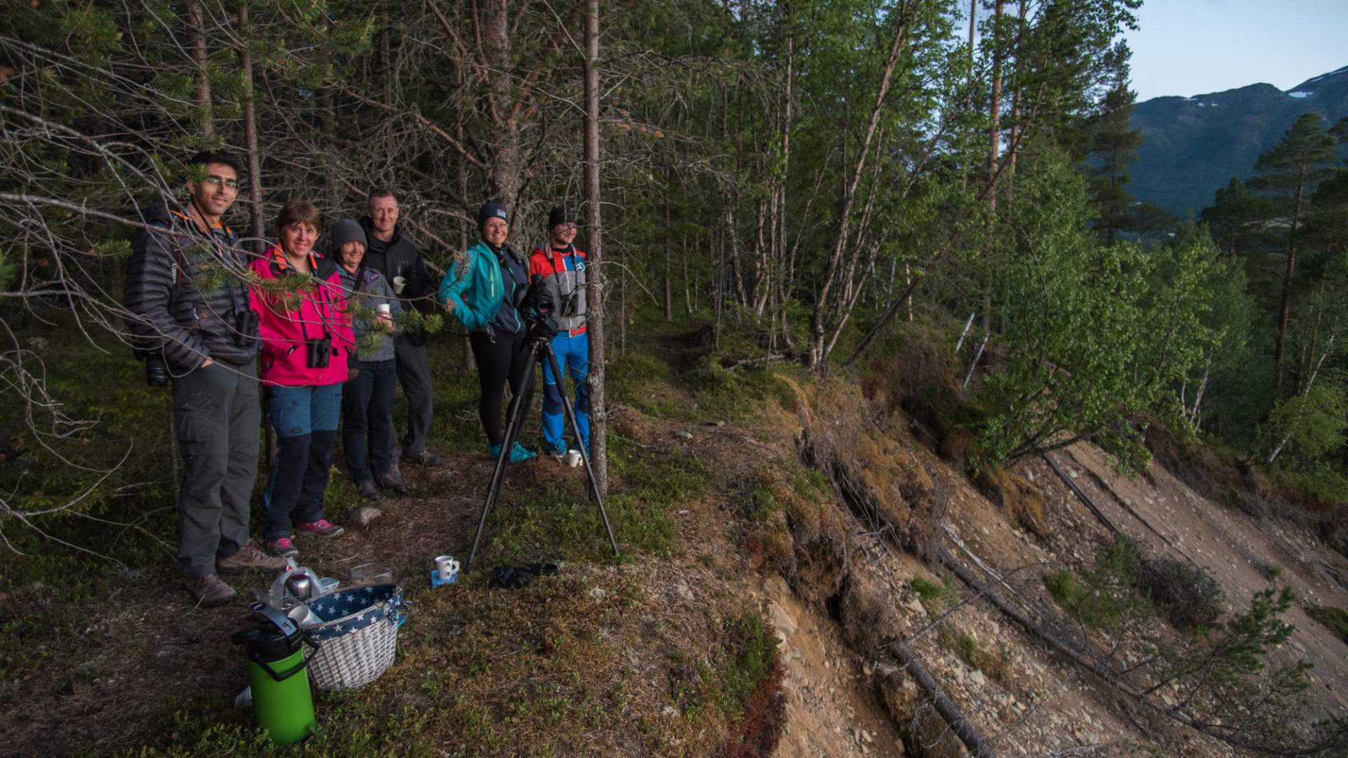 Elgsafari: Møt skogens konge!