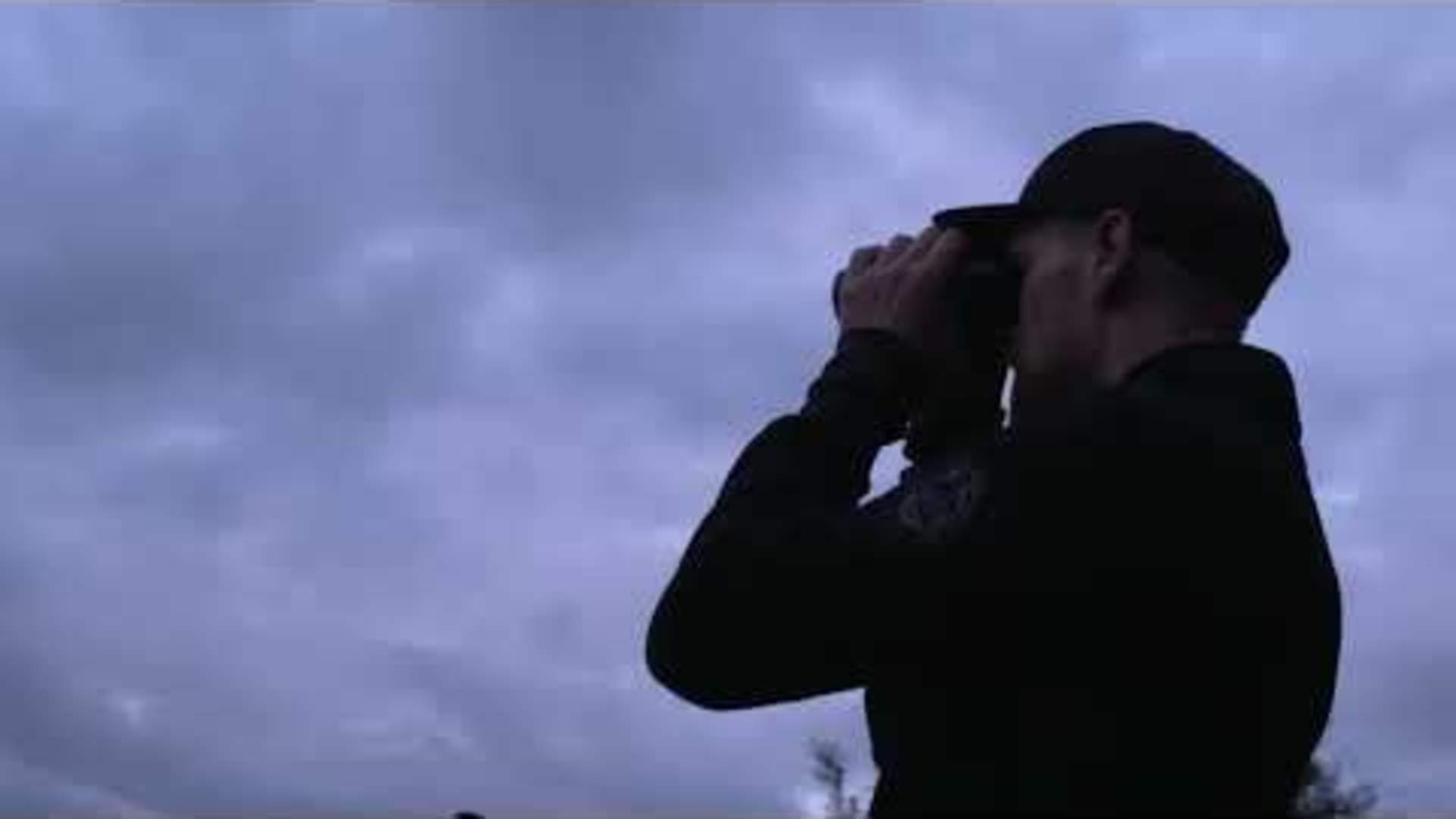 Elgsafari: Møt skogens konge!