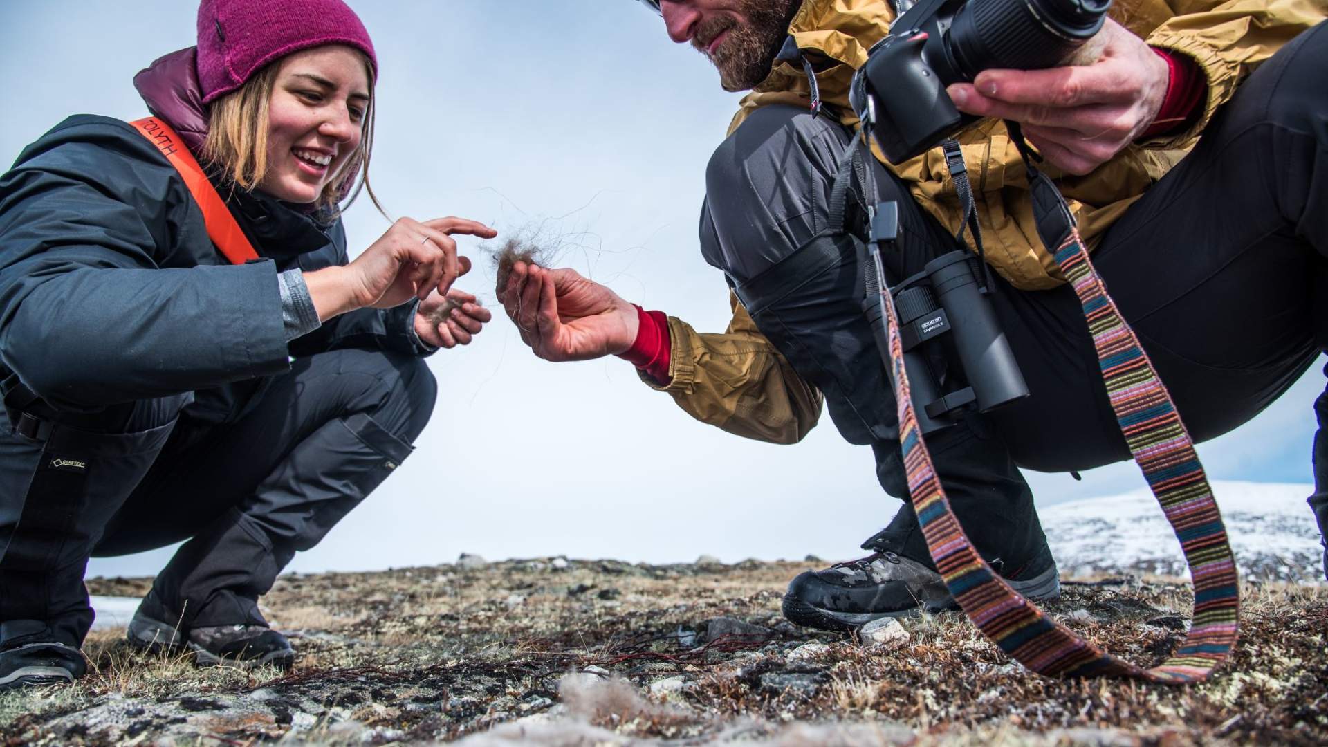 Moskussafari med personlig guide