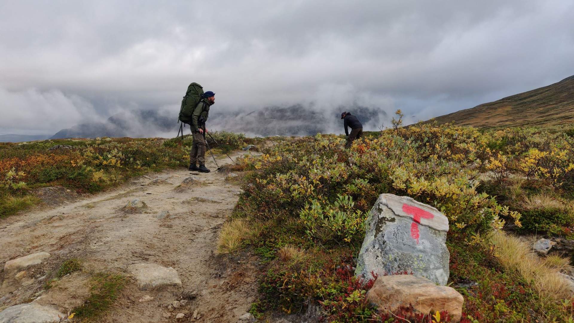 Moskussafari med personlig guide