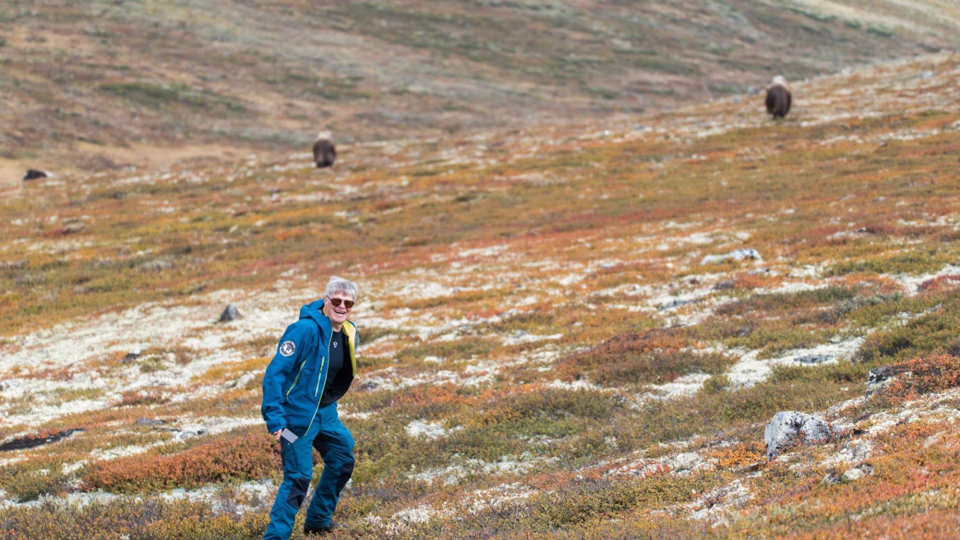 Moskussafari med personlig guide