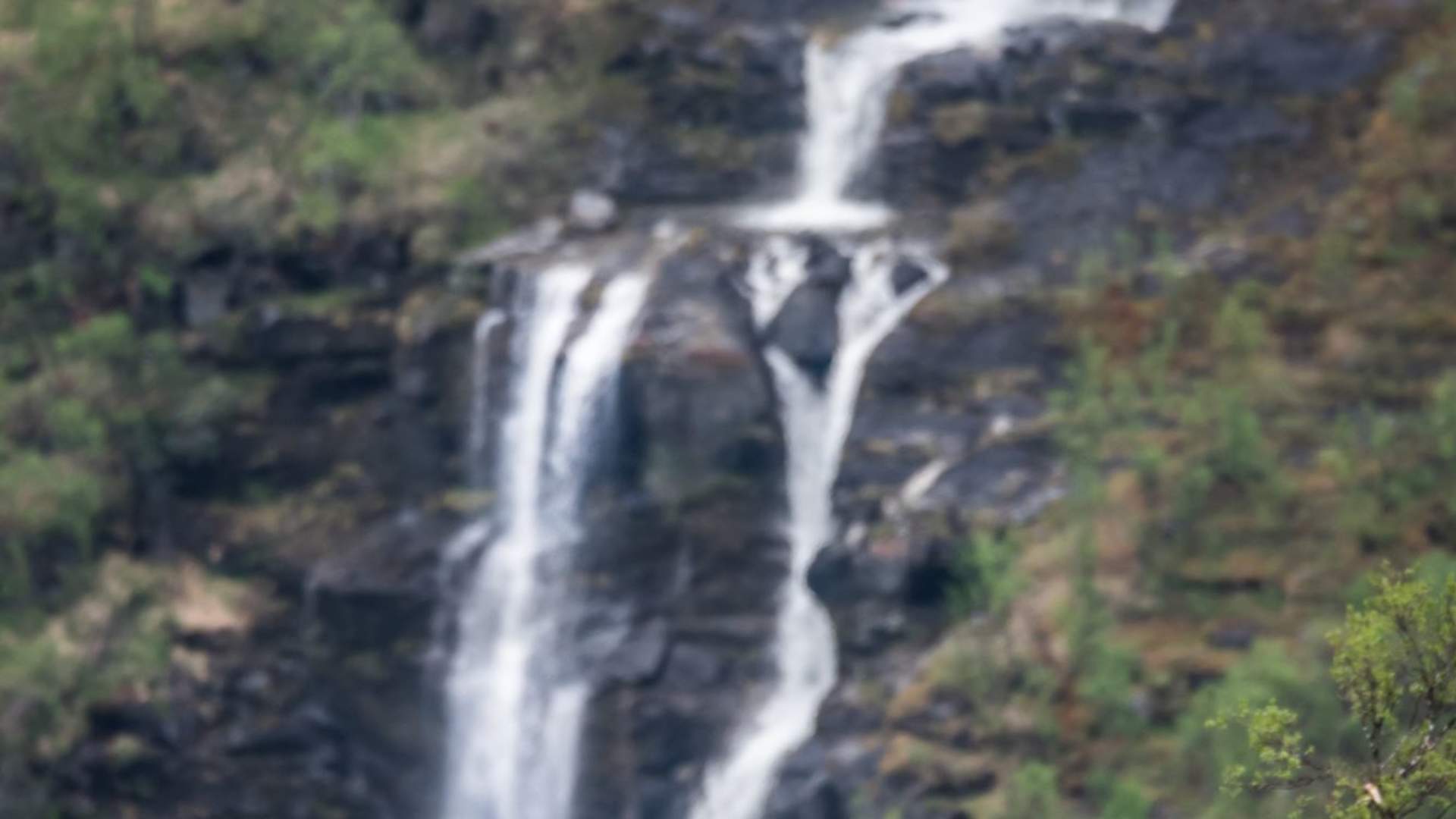 Moskussafari med personlig guide