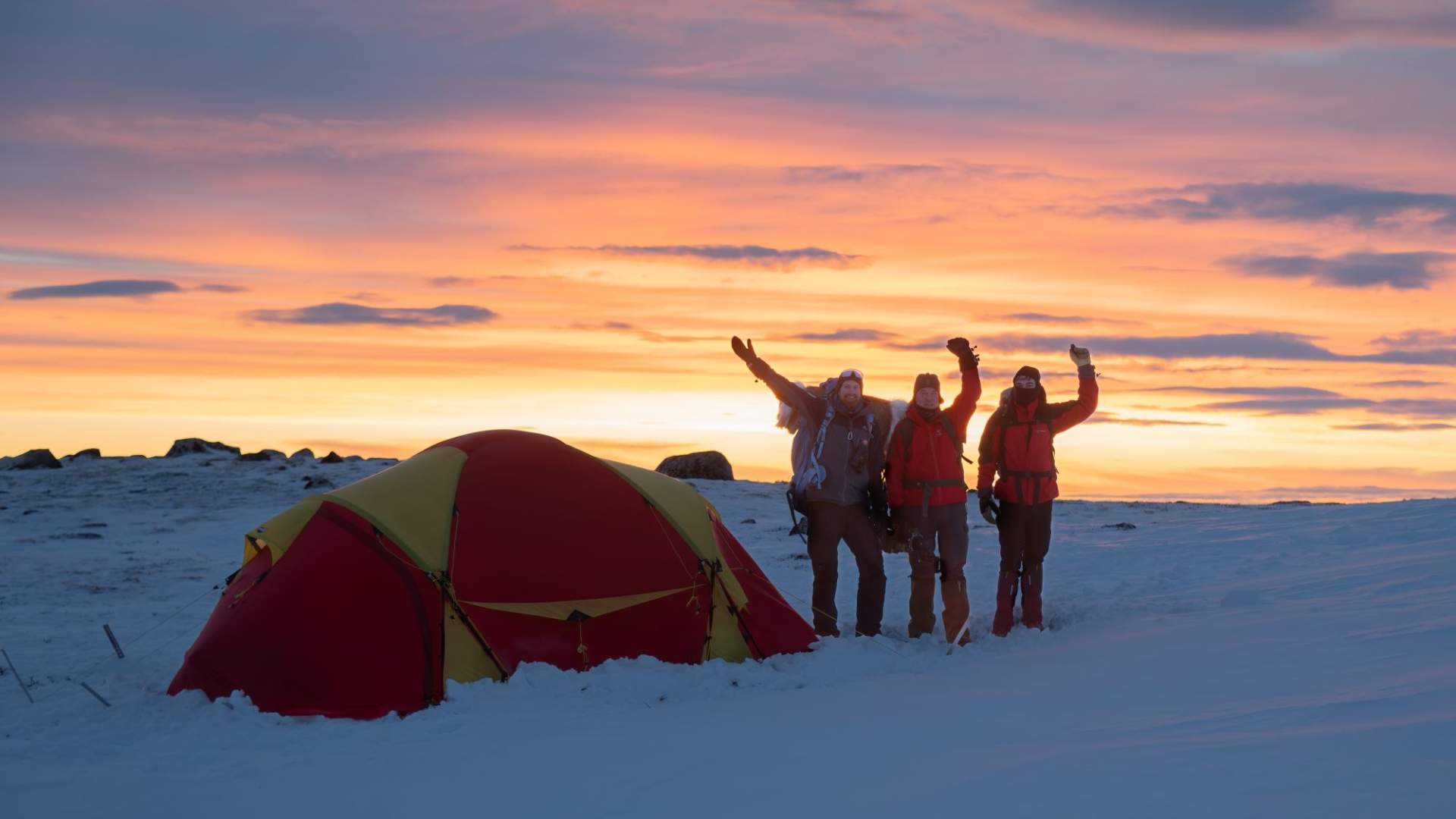 Musk Ox Safari Personal Tour, 2 days