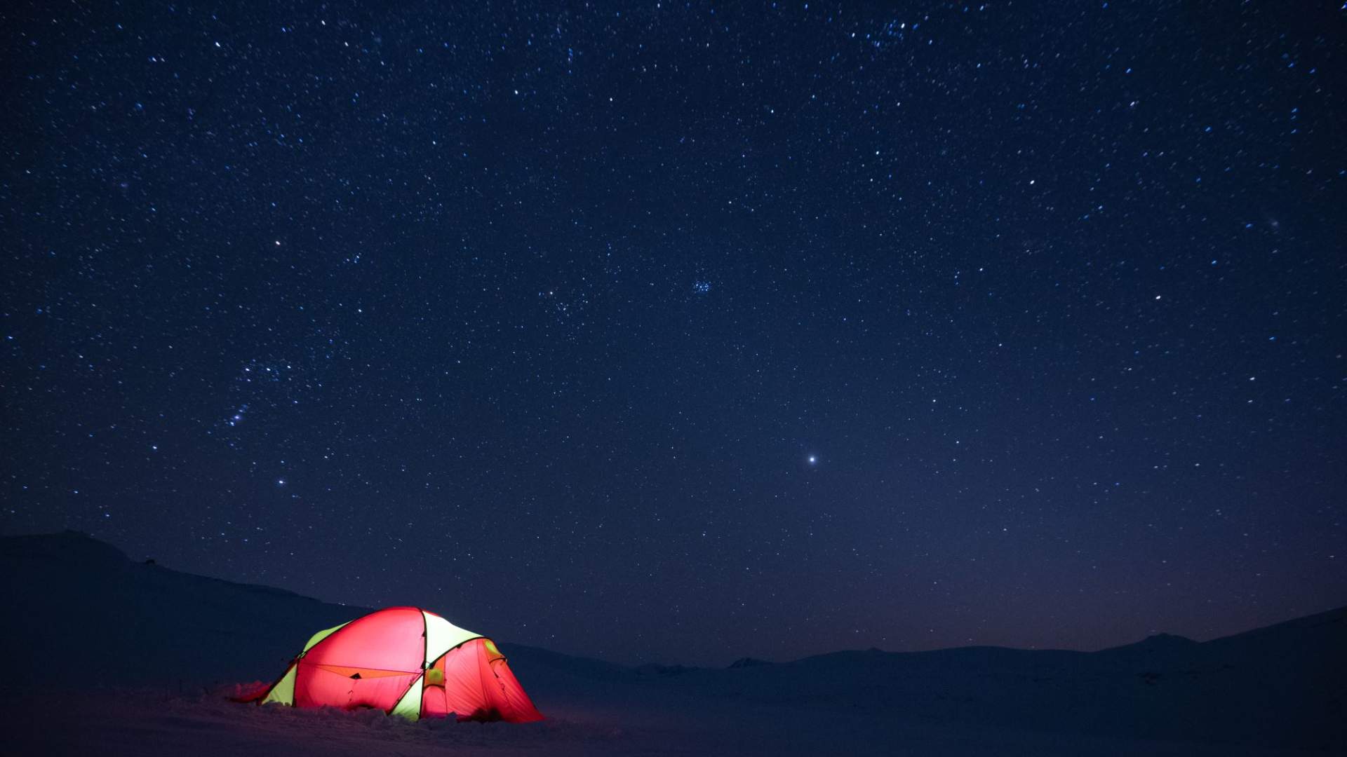 Musk Ox Safari Personal Tour, 2 days