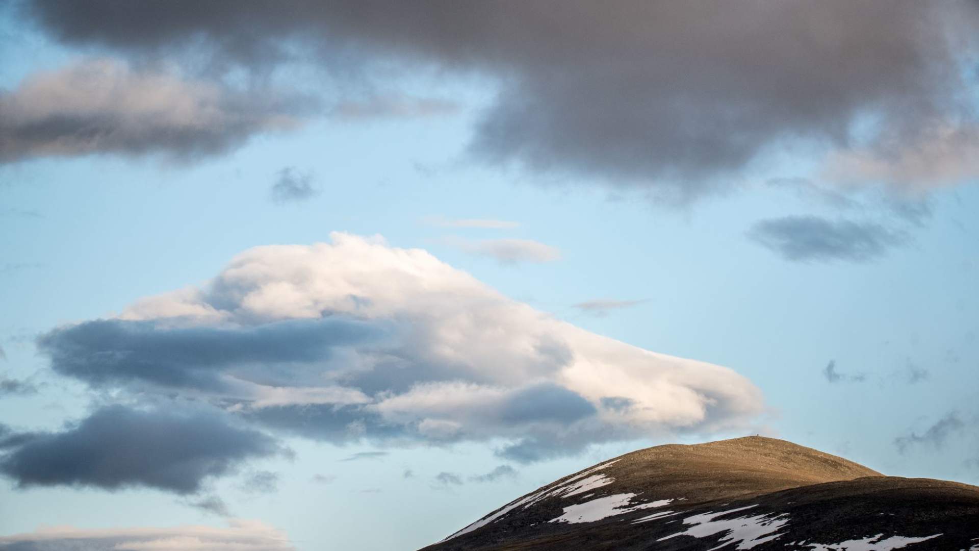 Moskussafari m/personlig guide, 2 dager