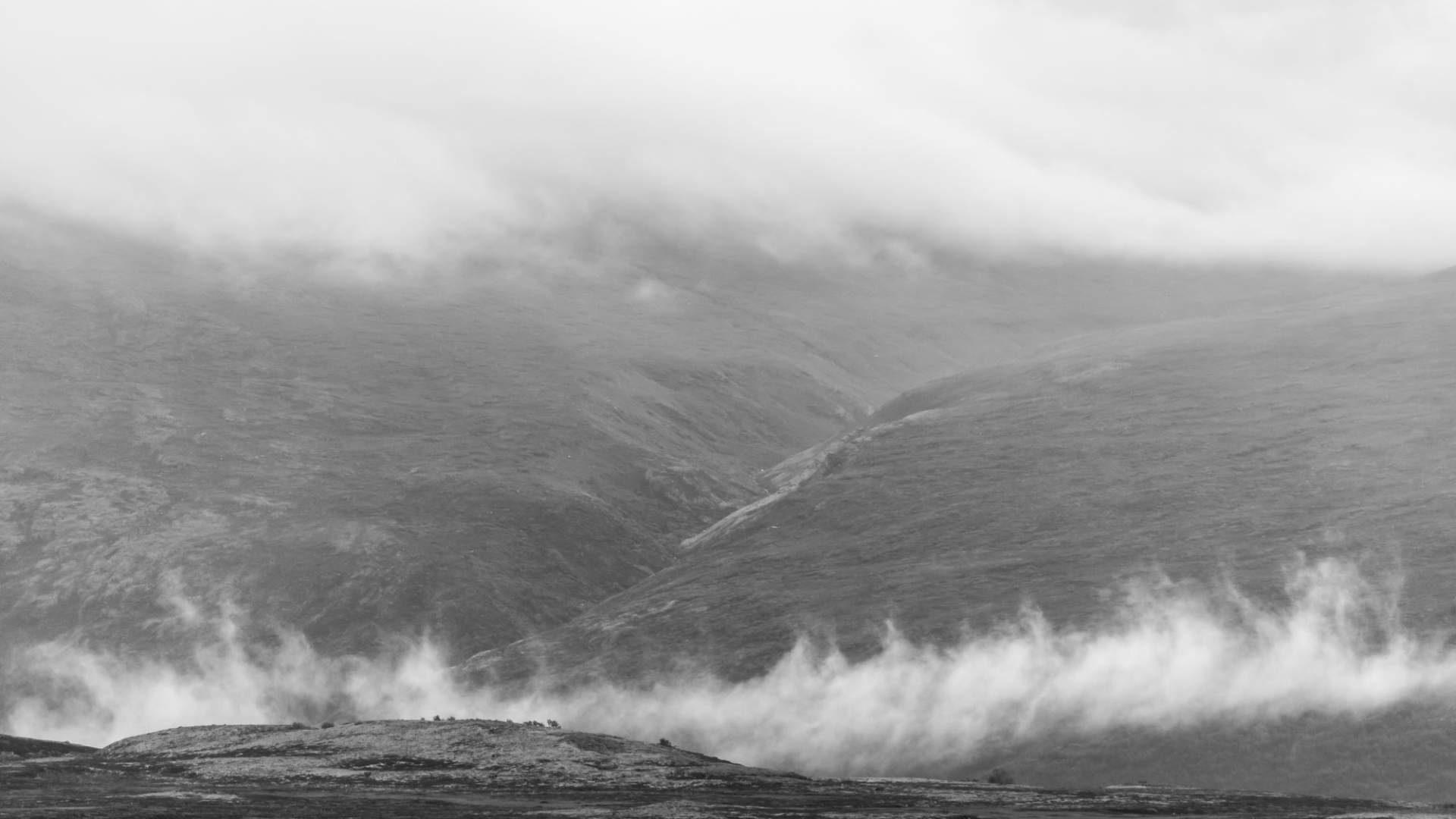 Musk Ox Safari Personal Tour, 2 days