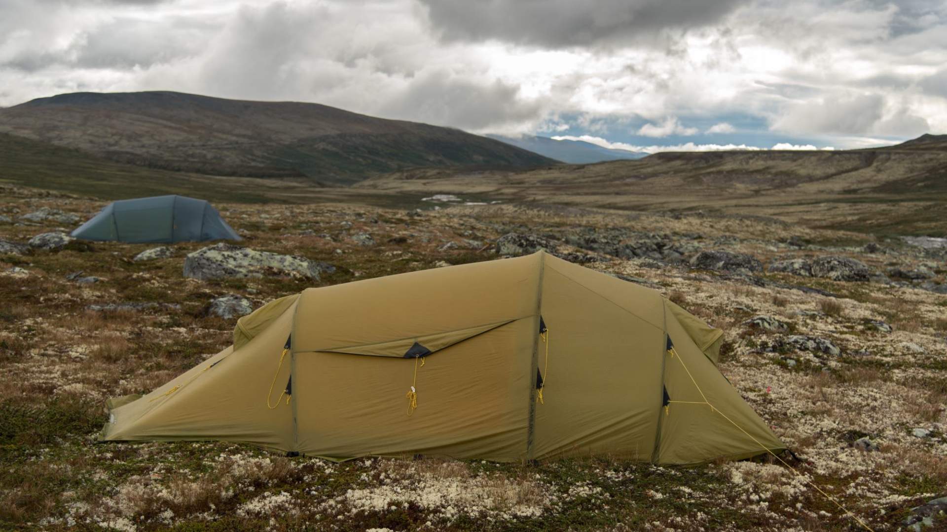 Musk Ox Safari Personal Tour, 2 days