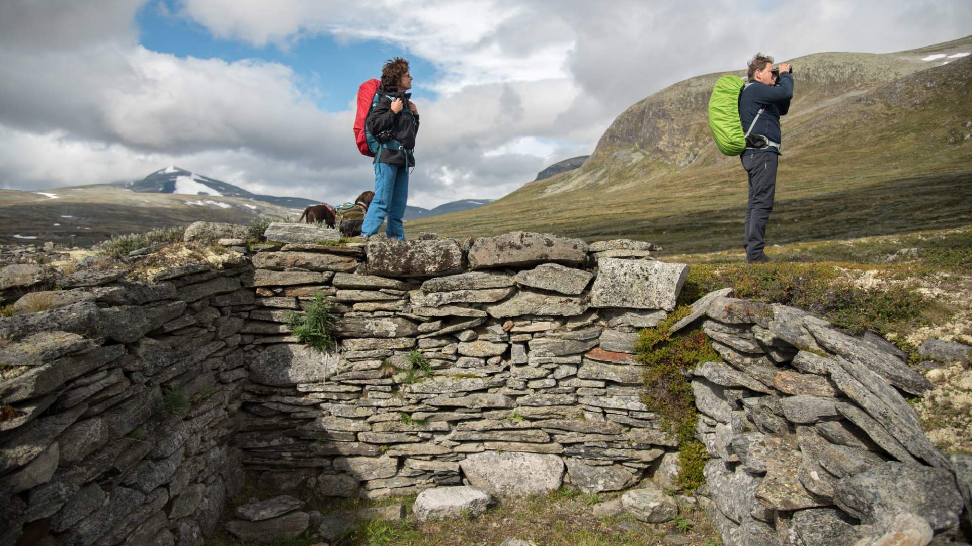 Musk Ox Safari Personal Tour, 2 days