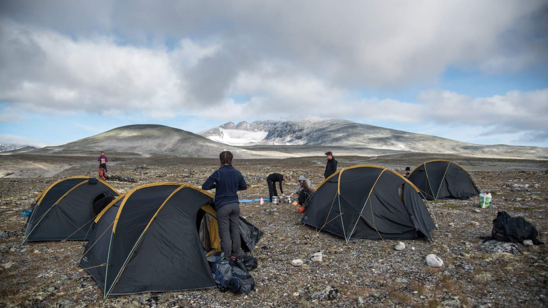 Musk Ox Safari Personal Tour, 2 days