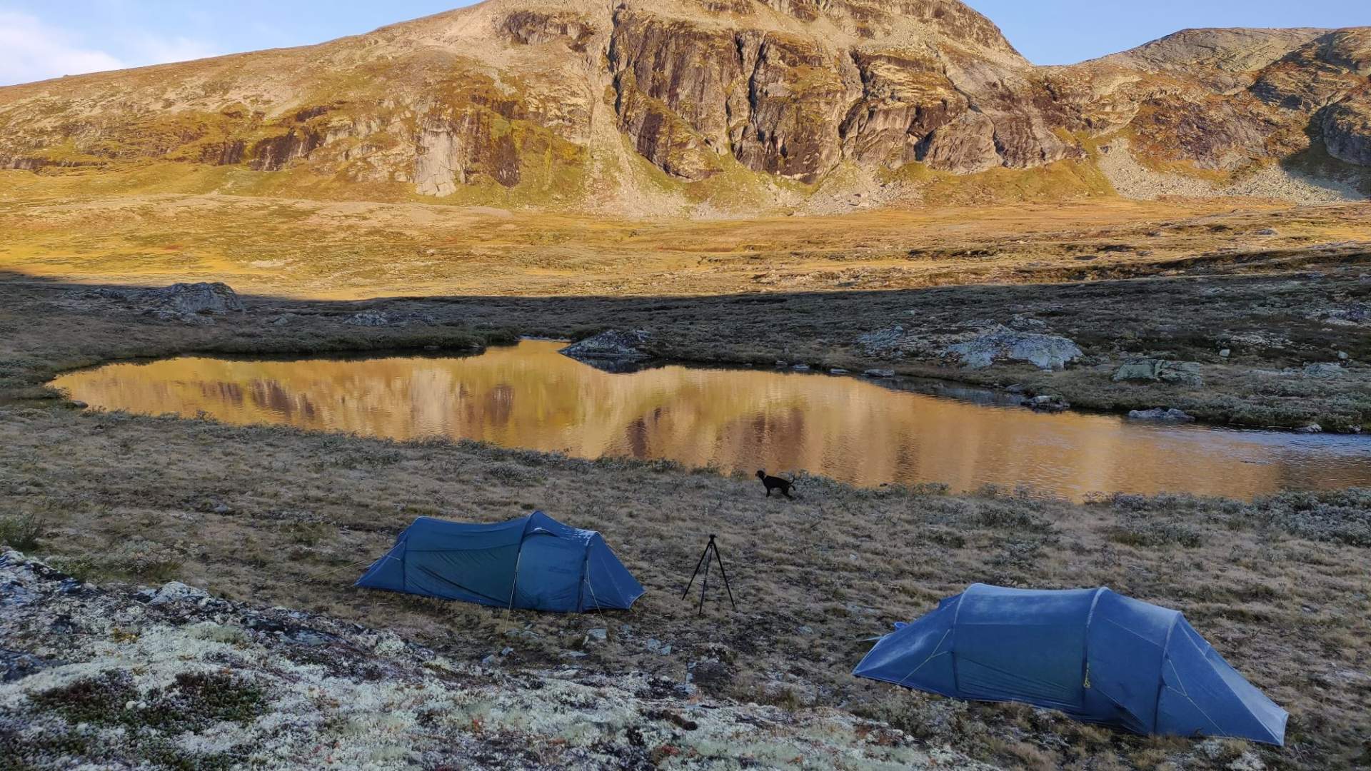 Musk Ox Safari Personal Tour, 2 days