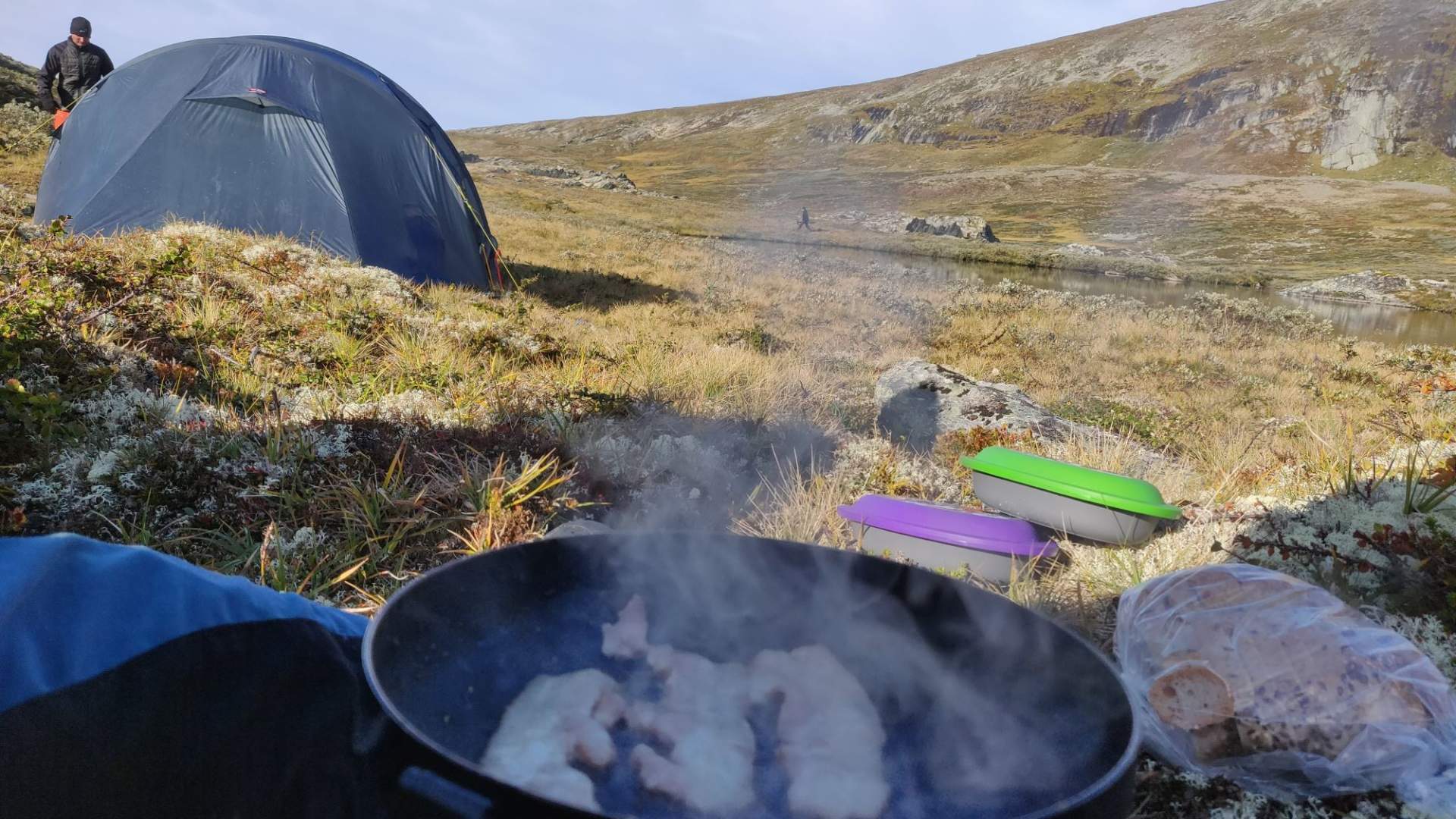 Musk Ox Safari Personal Tour, 2 days