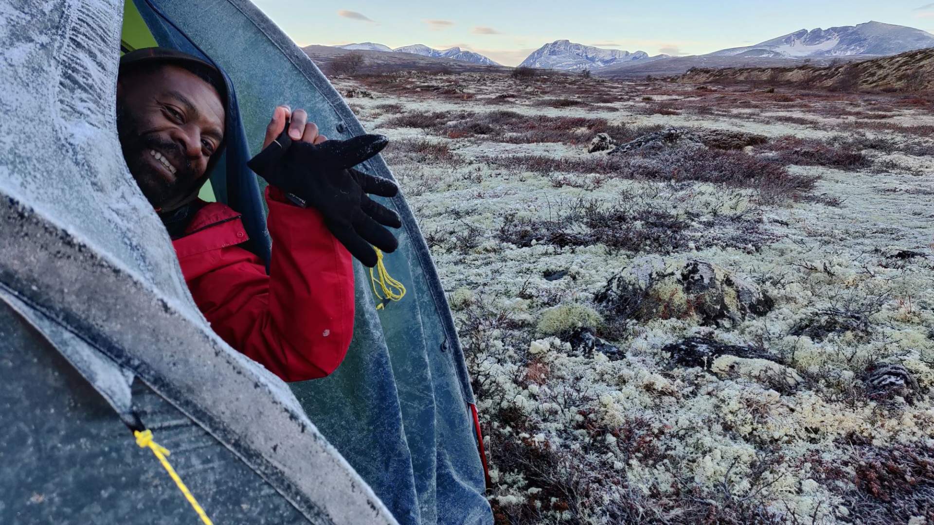 Musk Ox Safari Personal Tour, 2 days