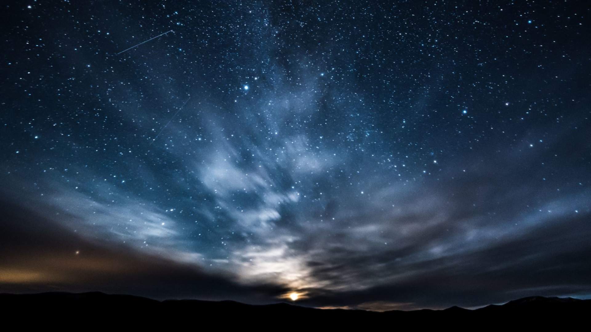 Musk Ox Safari Personal Tour, 2 days