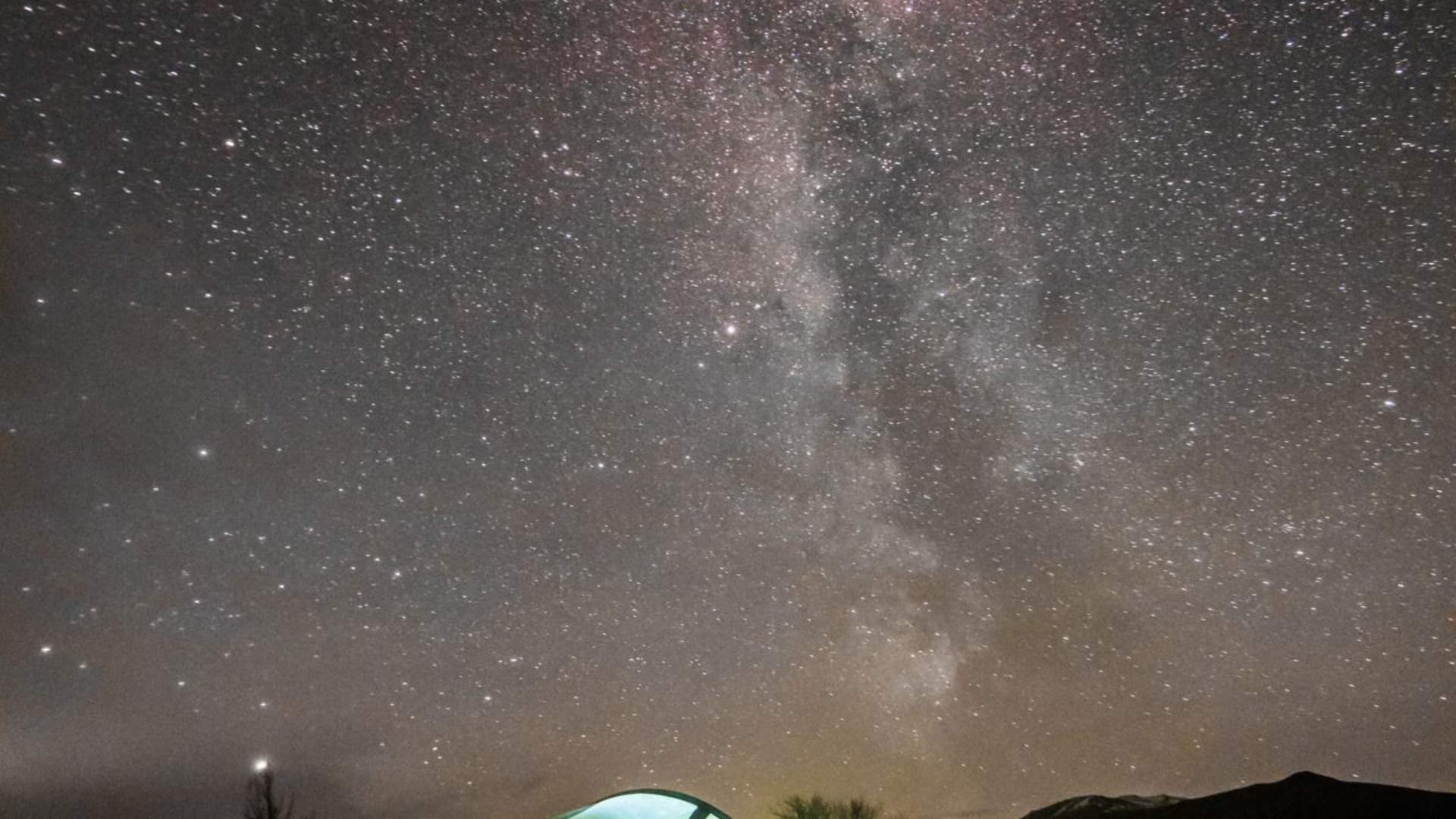 Musk Ox Safari Personal Tour, 2 days