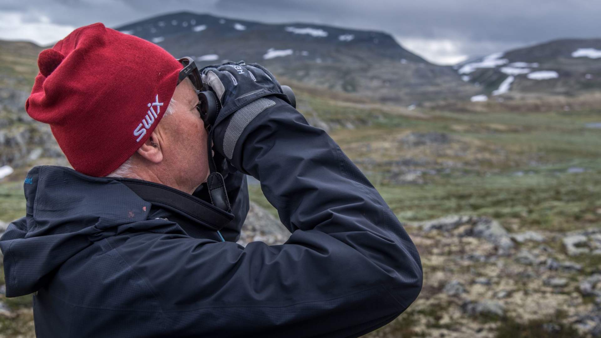 Musk Ox Safari Personal Tour, 2 days