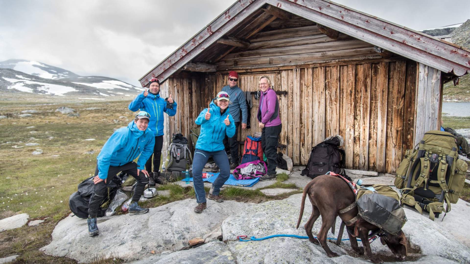 Musk Ox Safari Personal Tour, 2 days