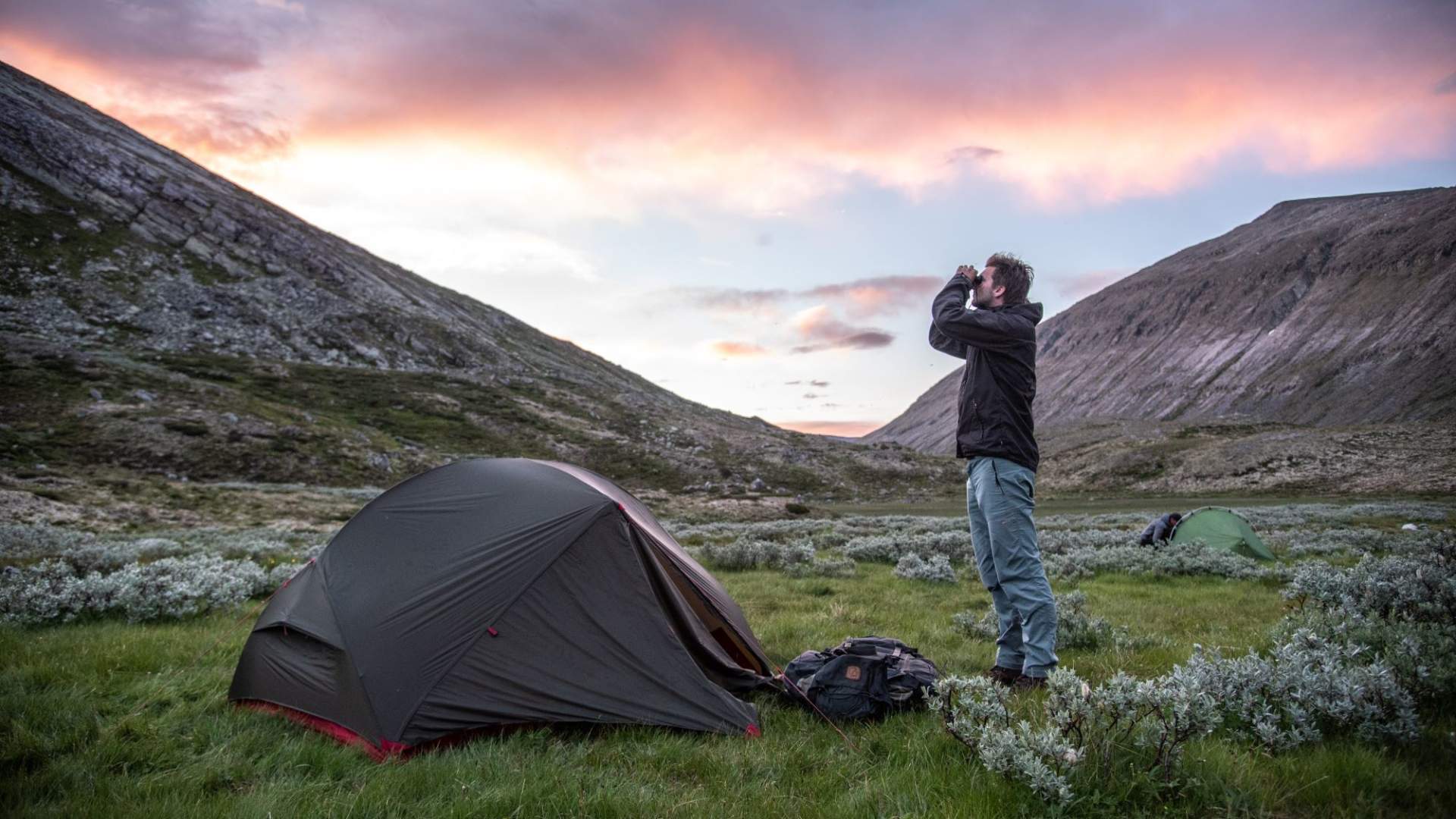 Musk Ox Safari Personal Tour, 2 days