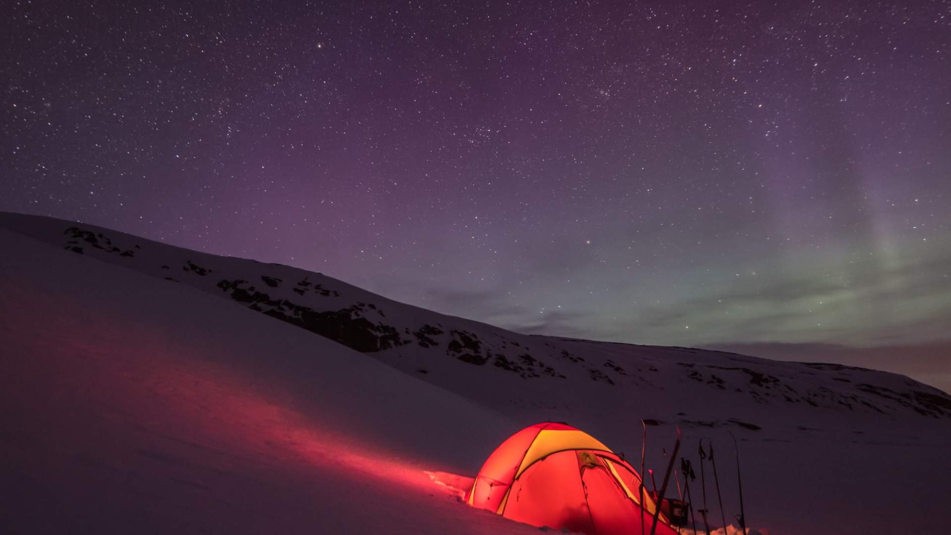 Musk Ox Safari Personal Tour, 2 days