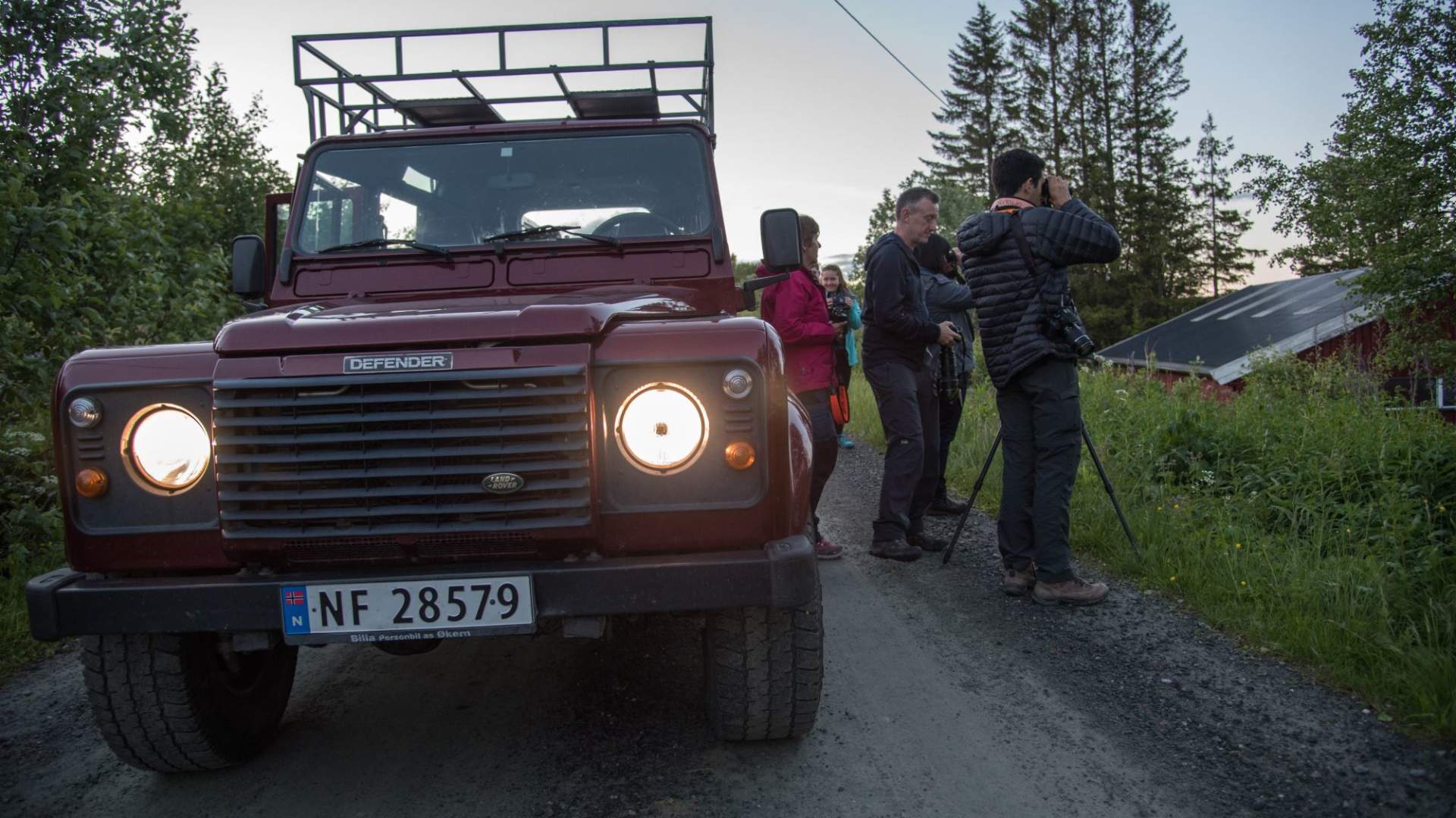 Elgsafari med personlig guide