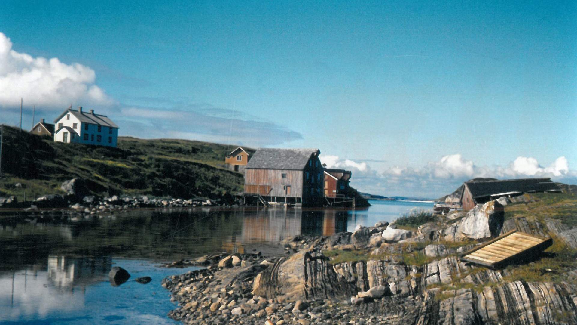 Risværet
