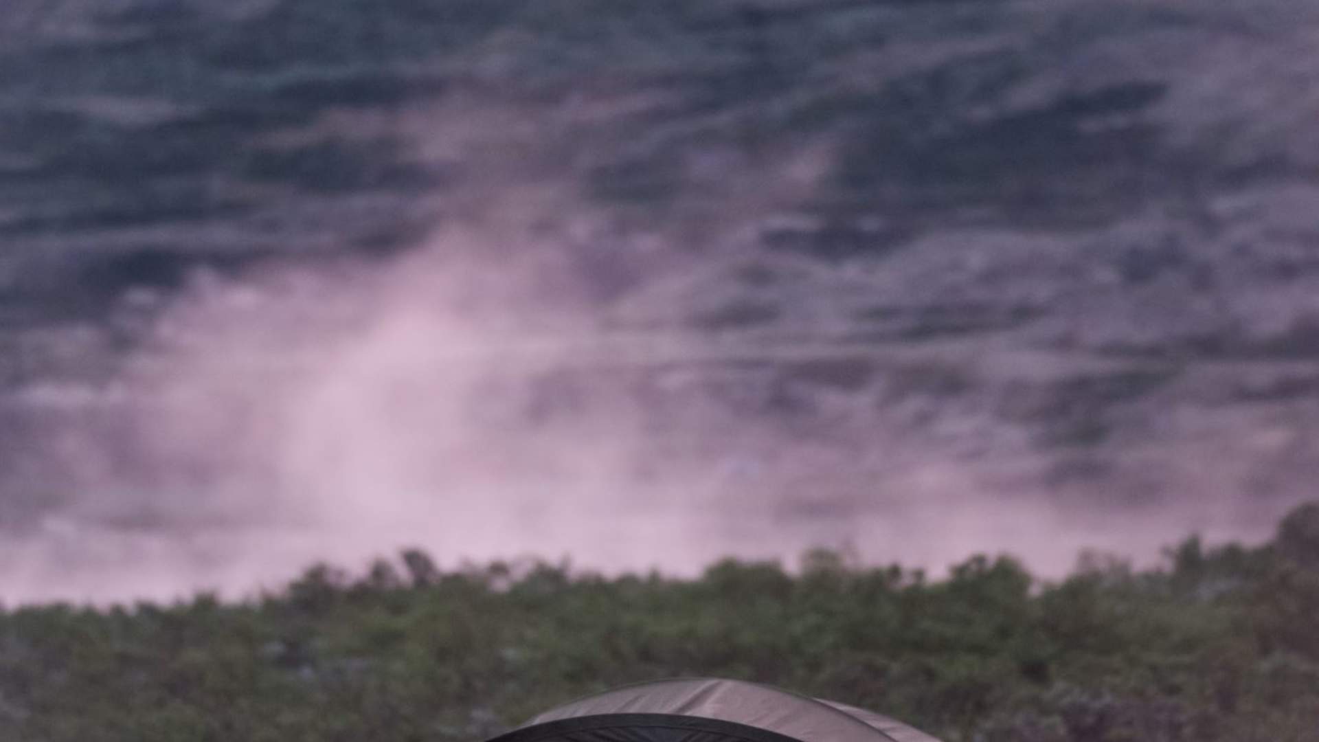 Fuglekikking med guide