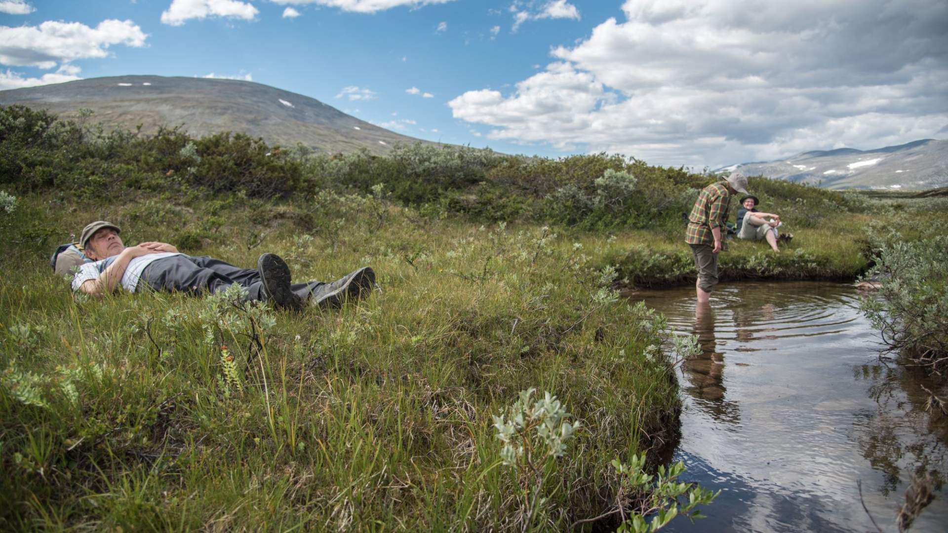 Fuglekikking med guide
