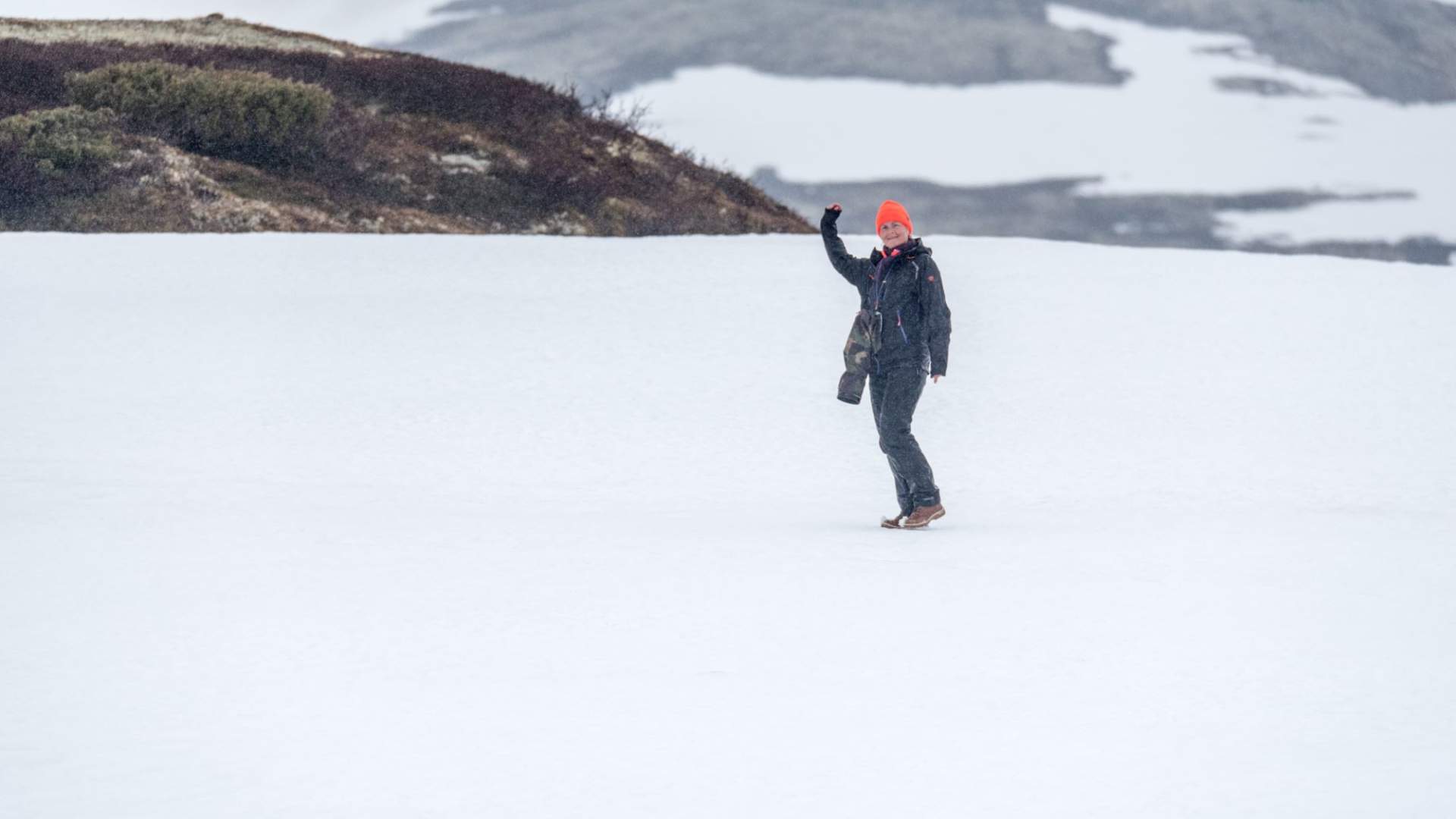 Fuglekikking med guide