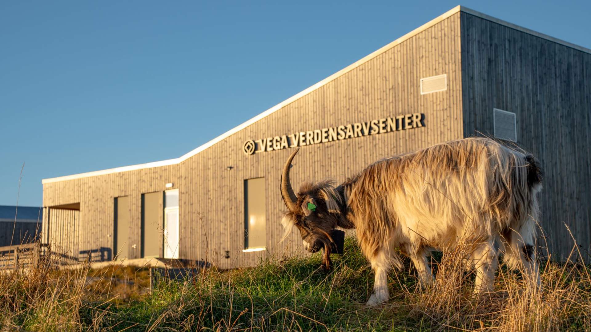 Vega World Heritage Center