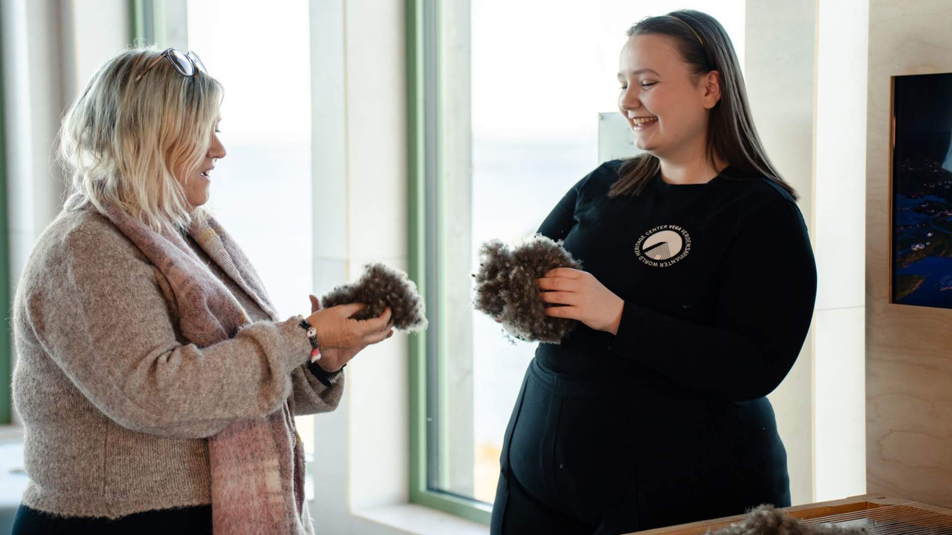 Vega World Heritage Center