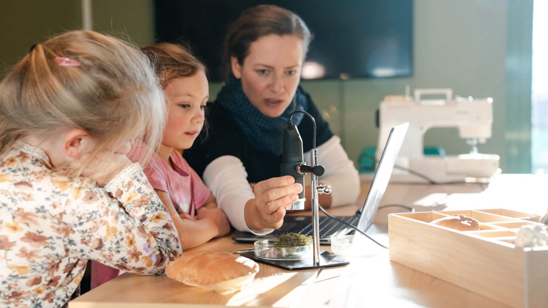 Vega World Heritage Center