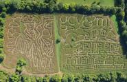A-MAZE-ing!