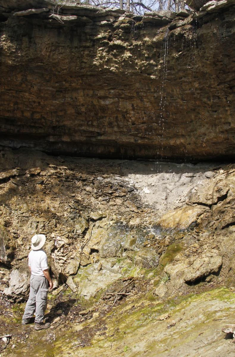 Kansas Trails