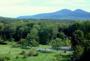 Mountain Top Arboretum