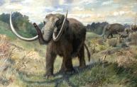 mastodon.jpg