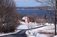 Cayuga County winter scene