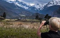 Elk Viewing from a Distance