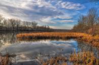 “Vischer Ferry - Nature of the Old Erie” by Karl Barth