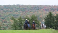riding-tom-seay.jpg