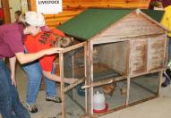 homesteadchickencoop722.jpg