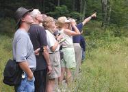 birdwatching.jpg