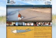 li-website.jpg