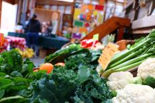 Wild Hare Organic Farms Puyallup Washington