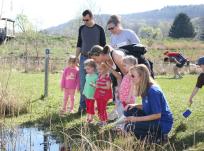 Discover animal habitats and the importance of wetlands at Wonders of the Wetlands offered at the Hudson Highlands Nature Museum in Cornwall on Saturday, May 22 at 10 a.m. Photo by George Potanovic Jr.