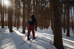 Photo caption: Cross-country skiers traverse the wilderness at Cumming Nature Center in Naples, NY. Photo credit: Darren McGee, NYS Dept. of Economic Development